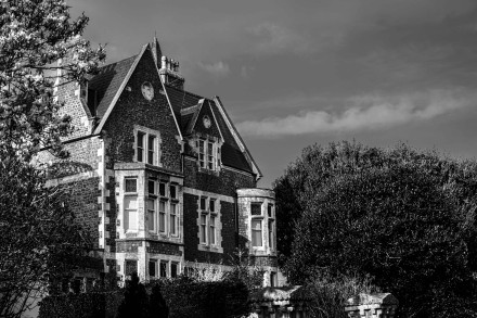 Grand-looking mansion surrounded by large trees